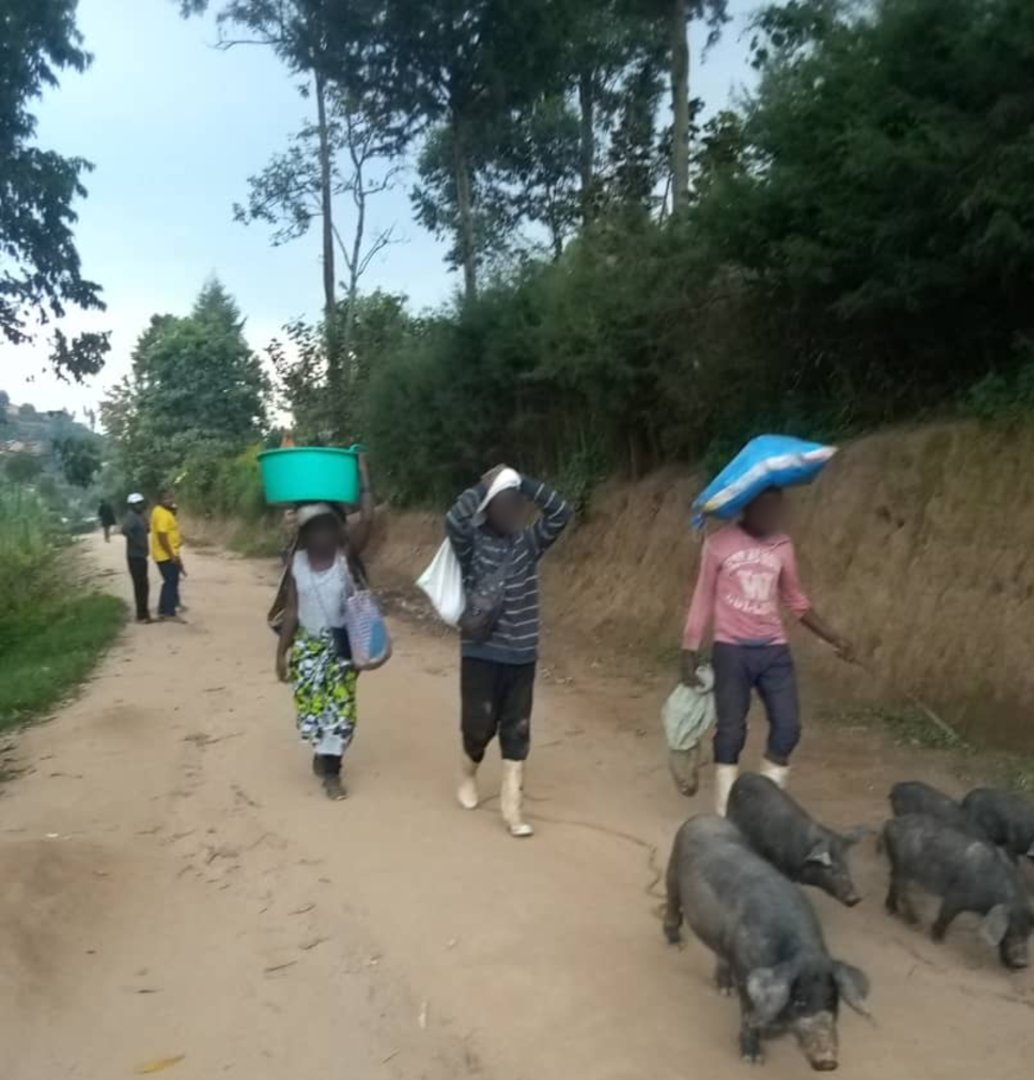 North Kivu: Civilians trapped between FARDC and M23. In the Lubero territory of the DRC, thousands of people are fleeing intense fighting. A thread on the daily lives of the inhabitants, through their testimonies and images